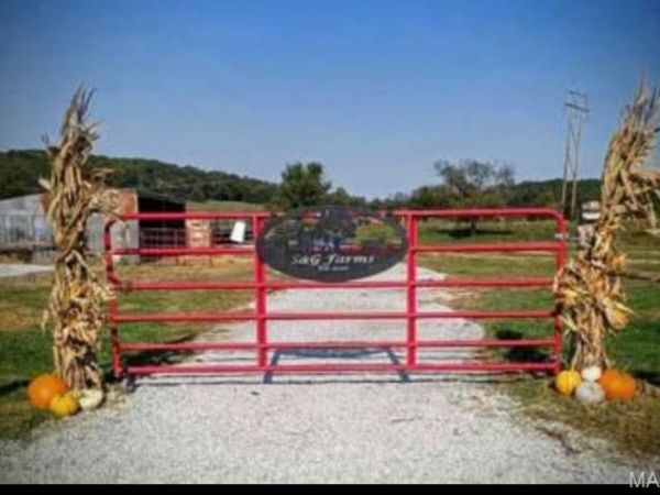 2073 Old Fredericktown Road, Farmington, MO 63640