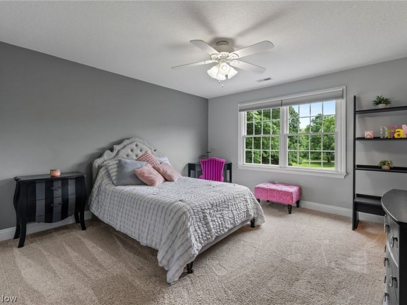 41340 Spring Hill Road, Leetonia, OH 44431 Photo 31