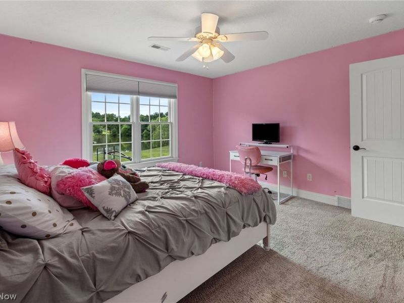 41340 Spring Hill Road, Leetonia, OH 44431 Photo 34