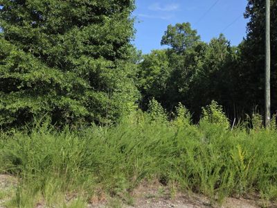 Longleaf Court Lot 7, Unit 7, Ridgeway, SC 29130