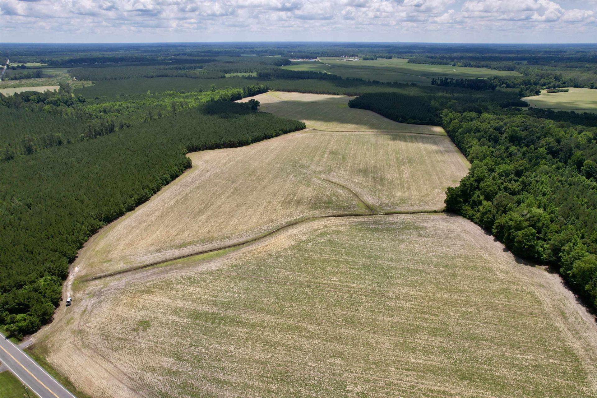 83.03 Acres - Birch Creek Rd. Photo 1