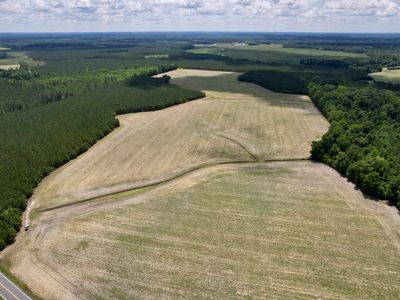 83.03 Acres - Birch Creek Rd., Andrews, SC 29510