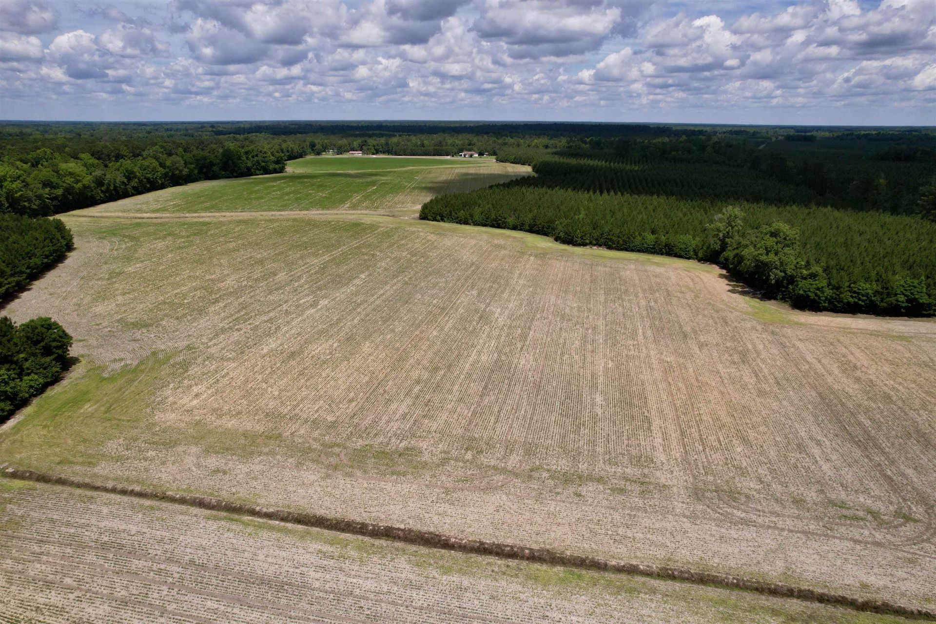83.03 Acres - Birch Creek Rd. Photo 10