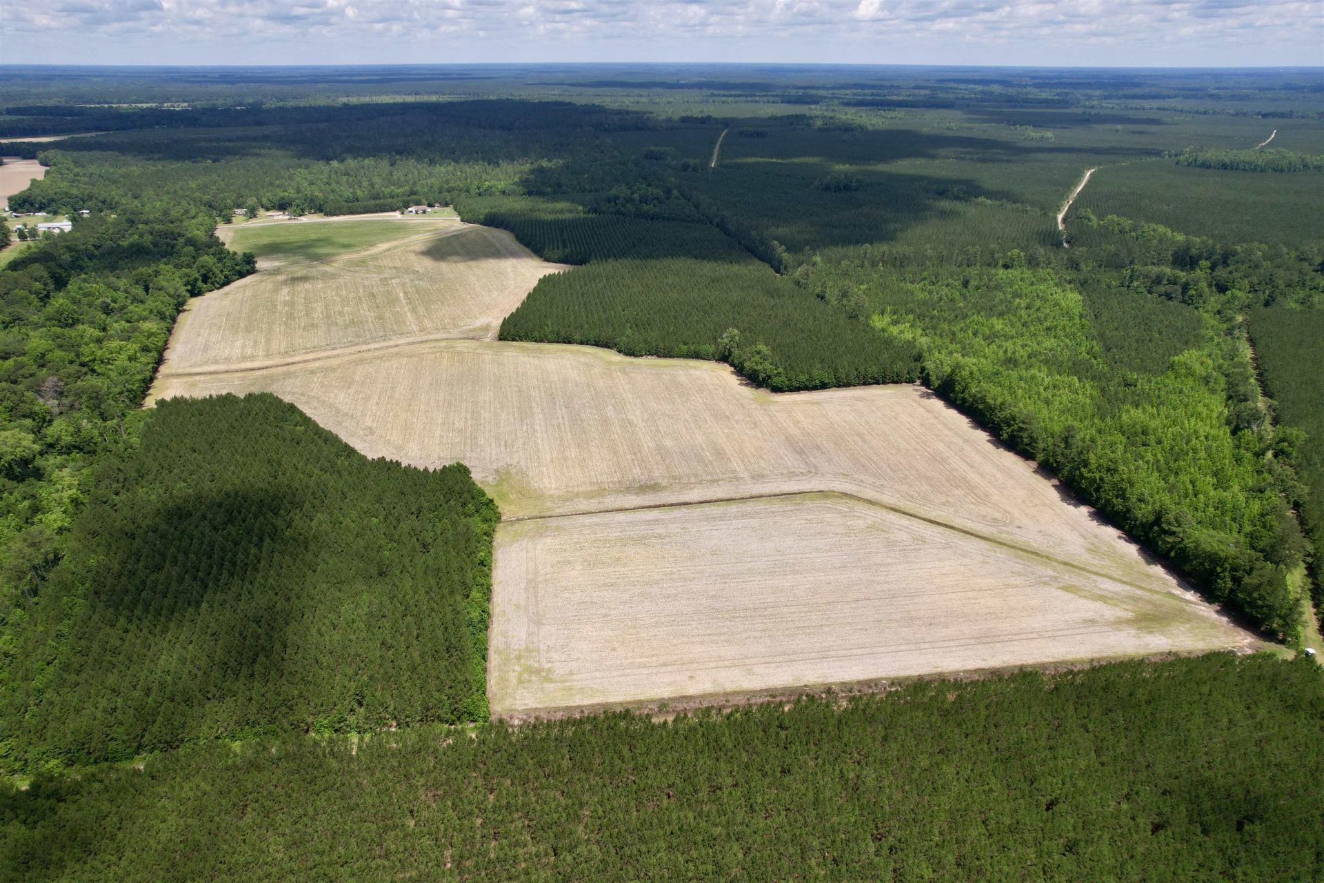 83.03 Acres - Birch Creek Rd. Photo 11