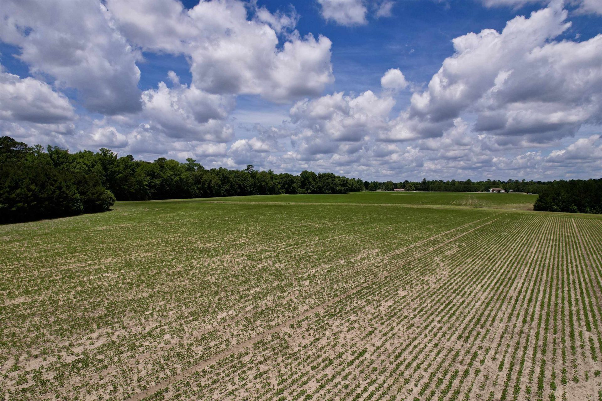 83.03 Acres - Birch Creek Rd. Photo 12