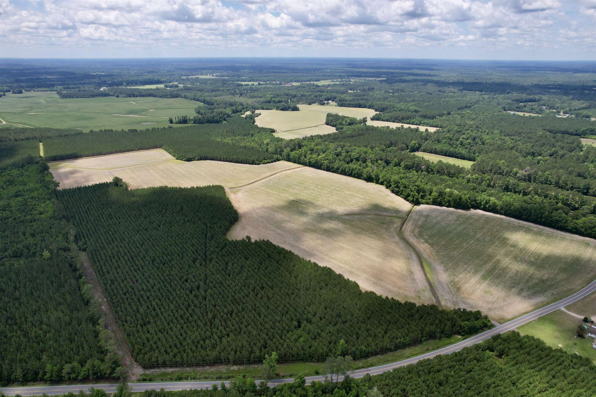 83.03 Acres - Birch Creek Rd. Photo 14