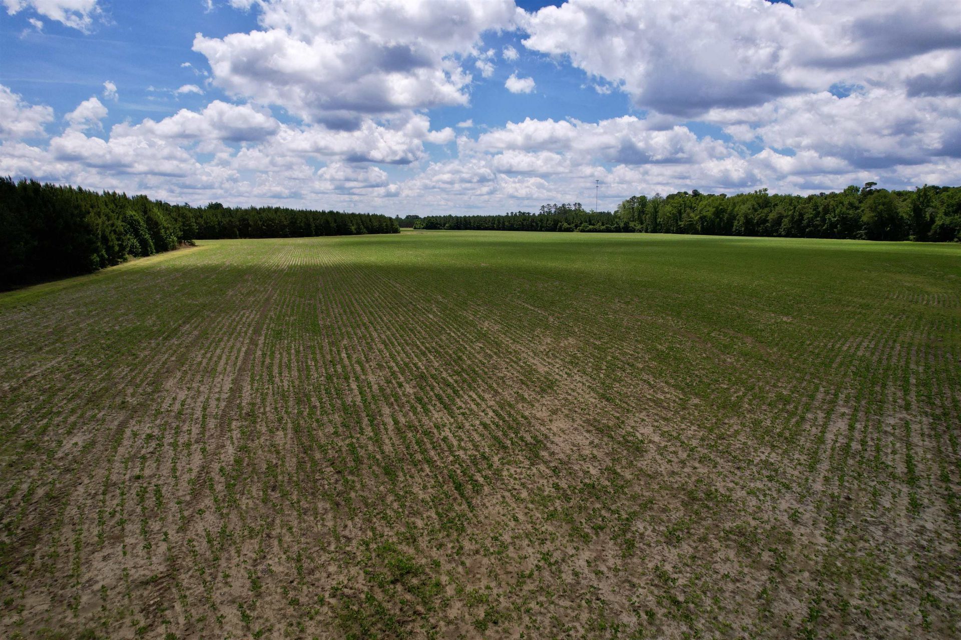 83.03 Acres - Birch Creek Rd. Photo 15