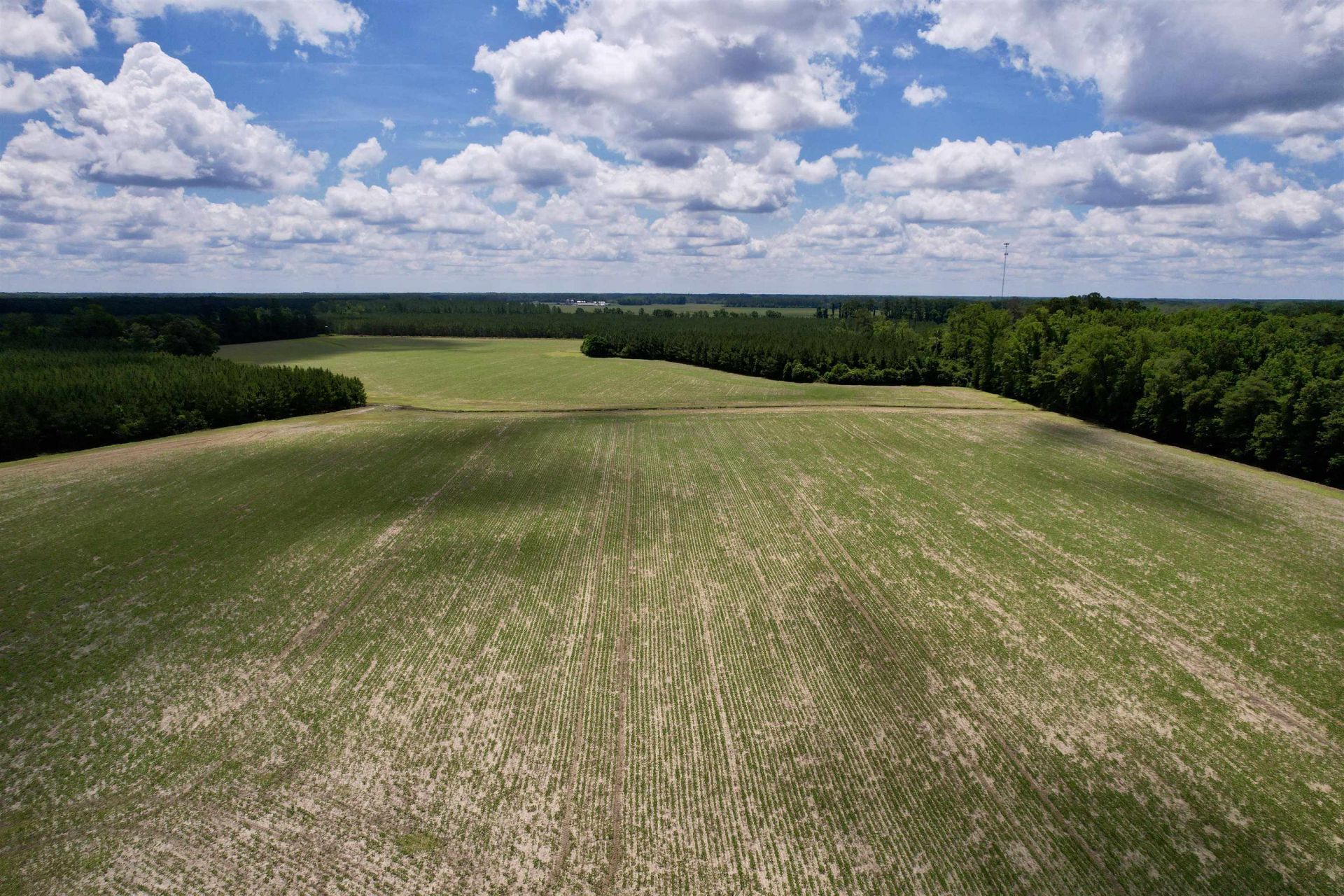 83.03 Acres - Birch Creek Rd. Photo 16