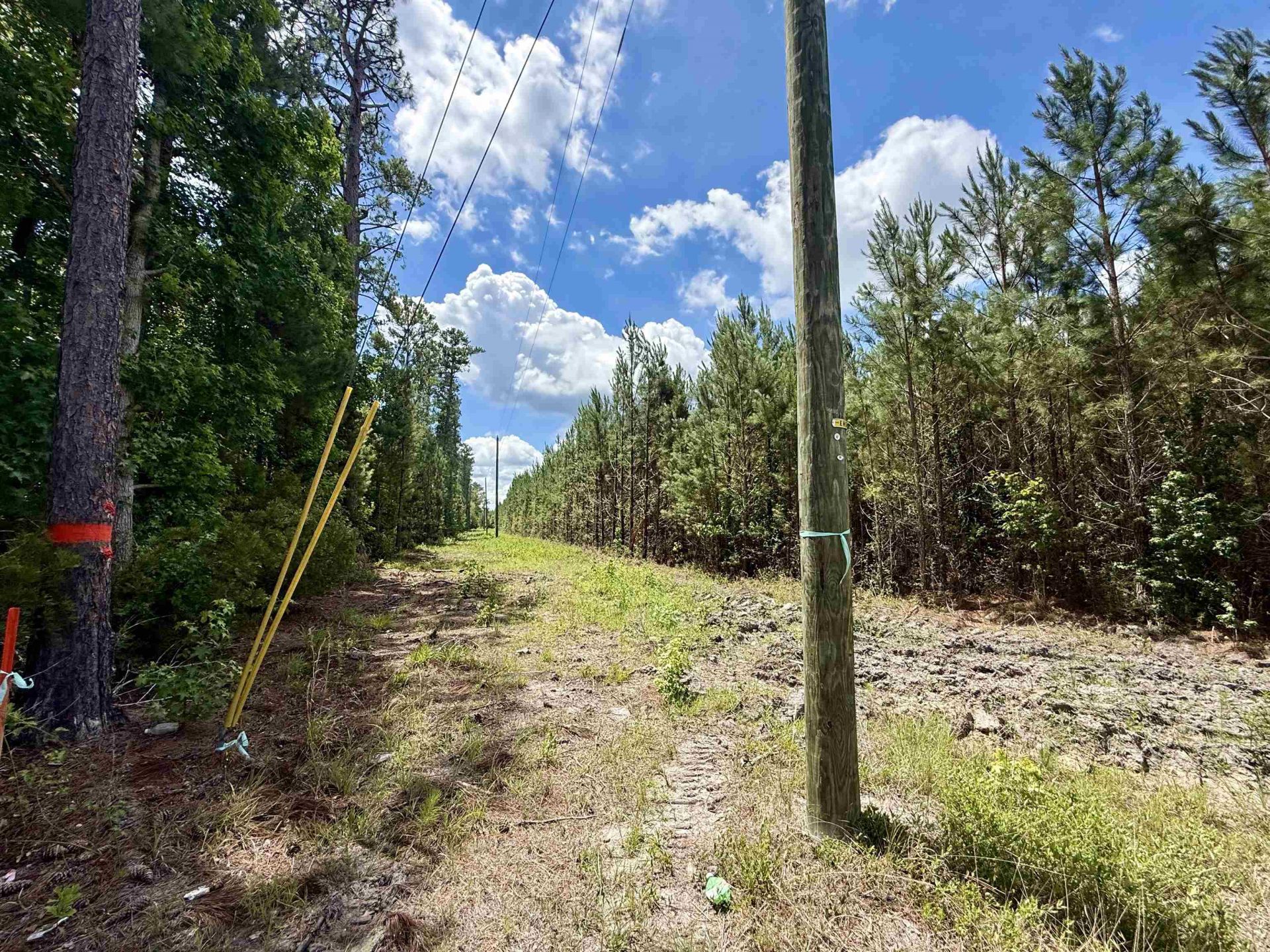 83.03 Acres - Birch Creek Rd. Photo 17