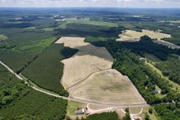 83.03 Acres - Birch Creek Rd. photo 4