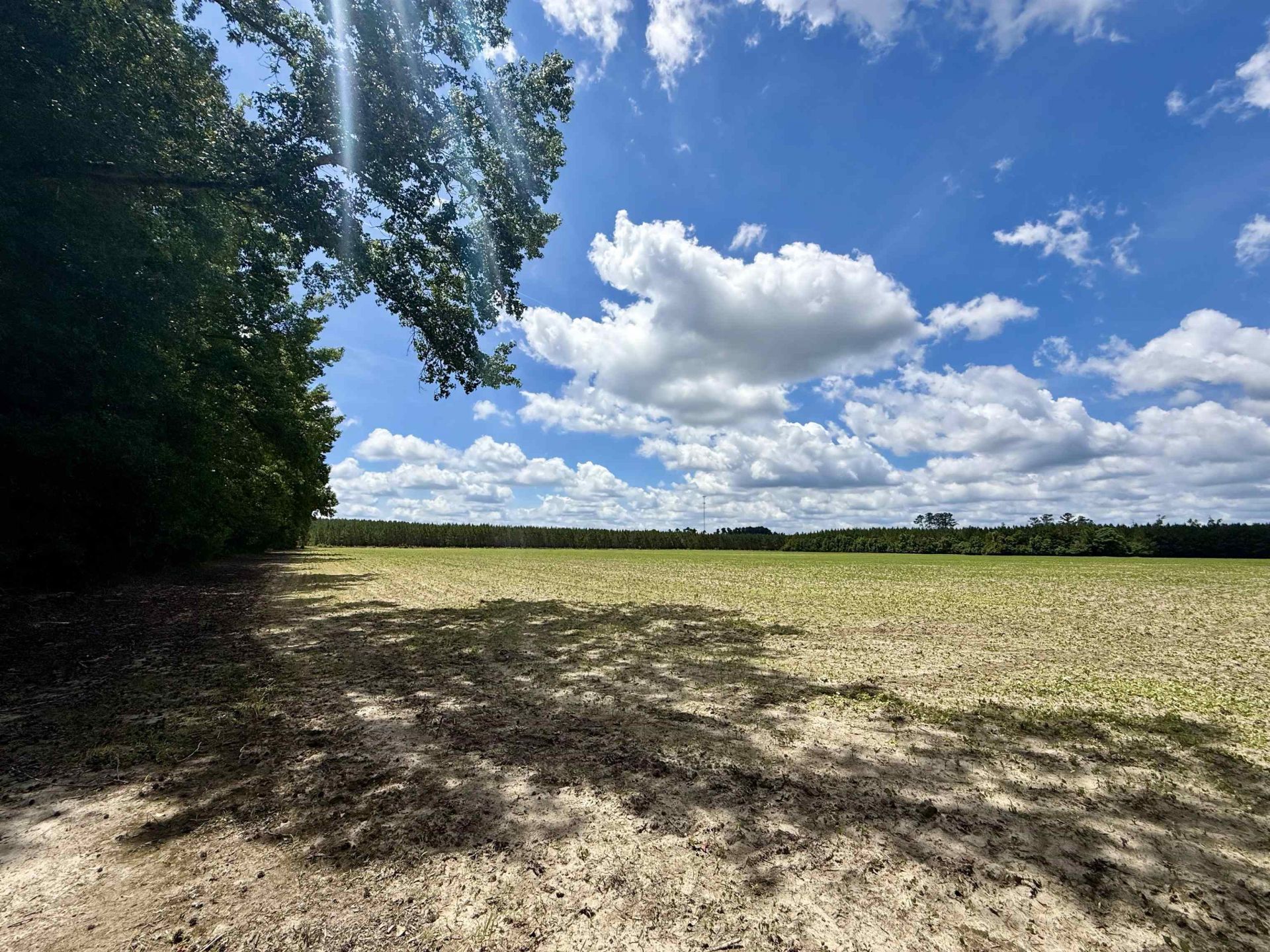 83.03 Acres - Birch Creek Rd. Photo 23