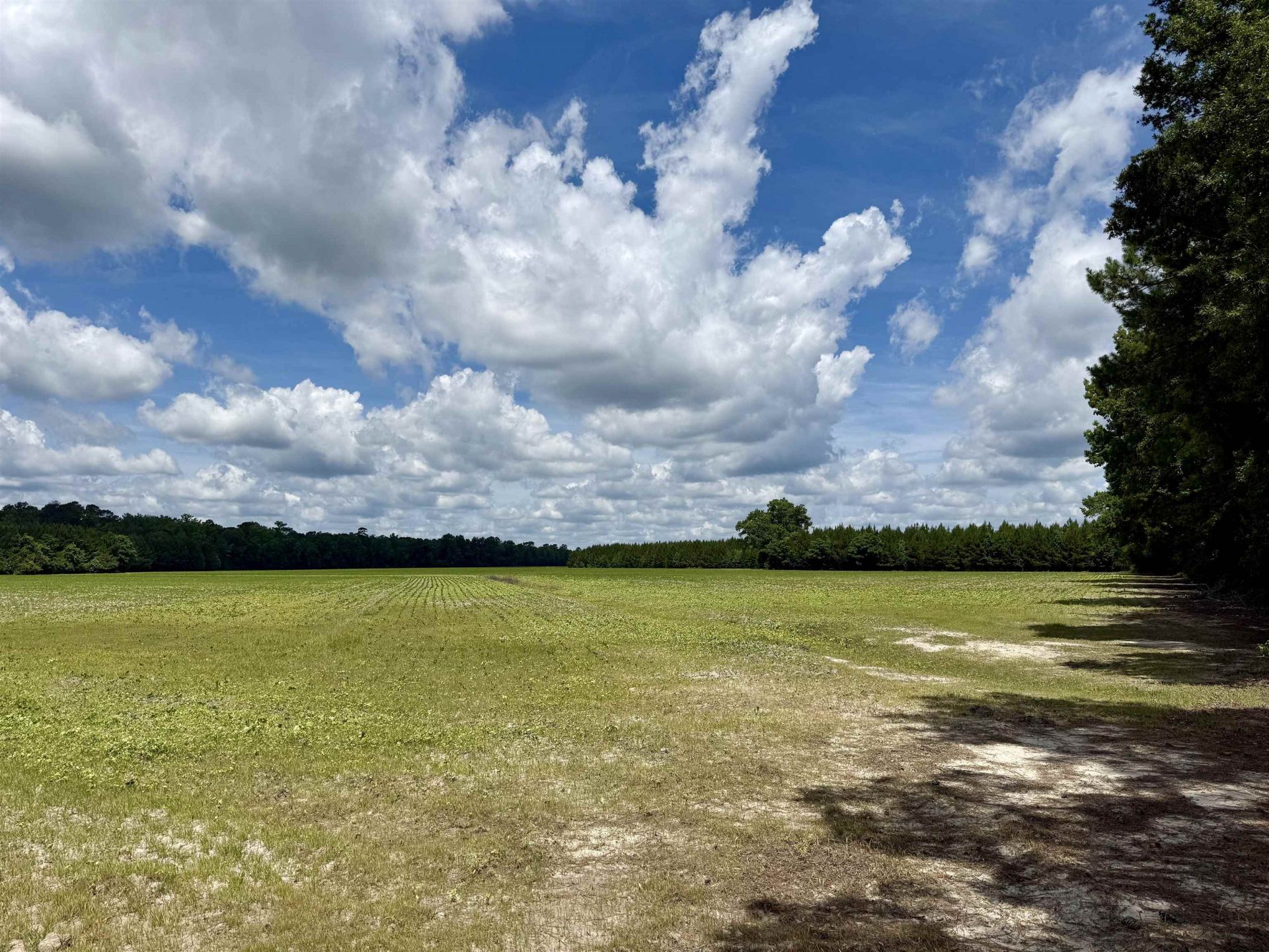 83.03 Acres - Birch Creek Rd. Photo 24