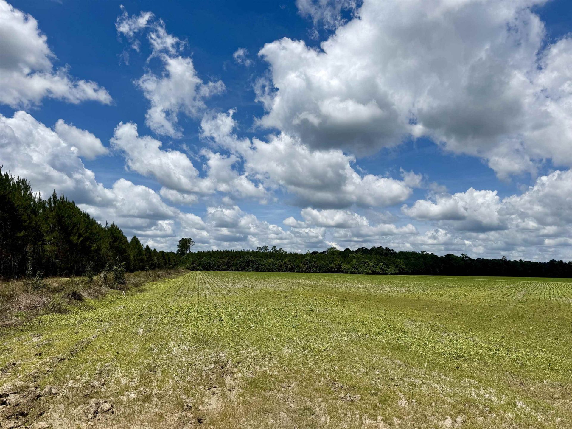 83.03 Acres - Birch Creek Rd. Photo 25