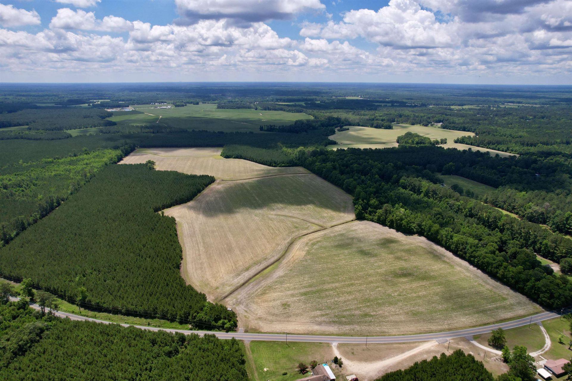 83.03 Acres - Birch Creek Rd. Photo 3