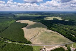 83.03 Acres - Birch Creek Rd. photo 4