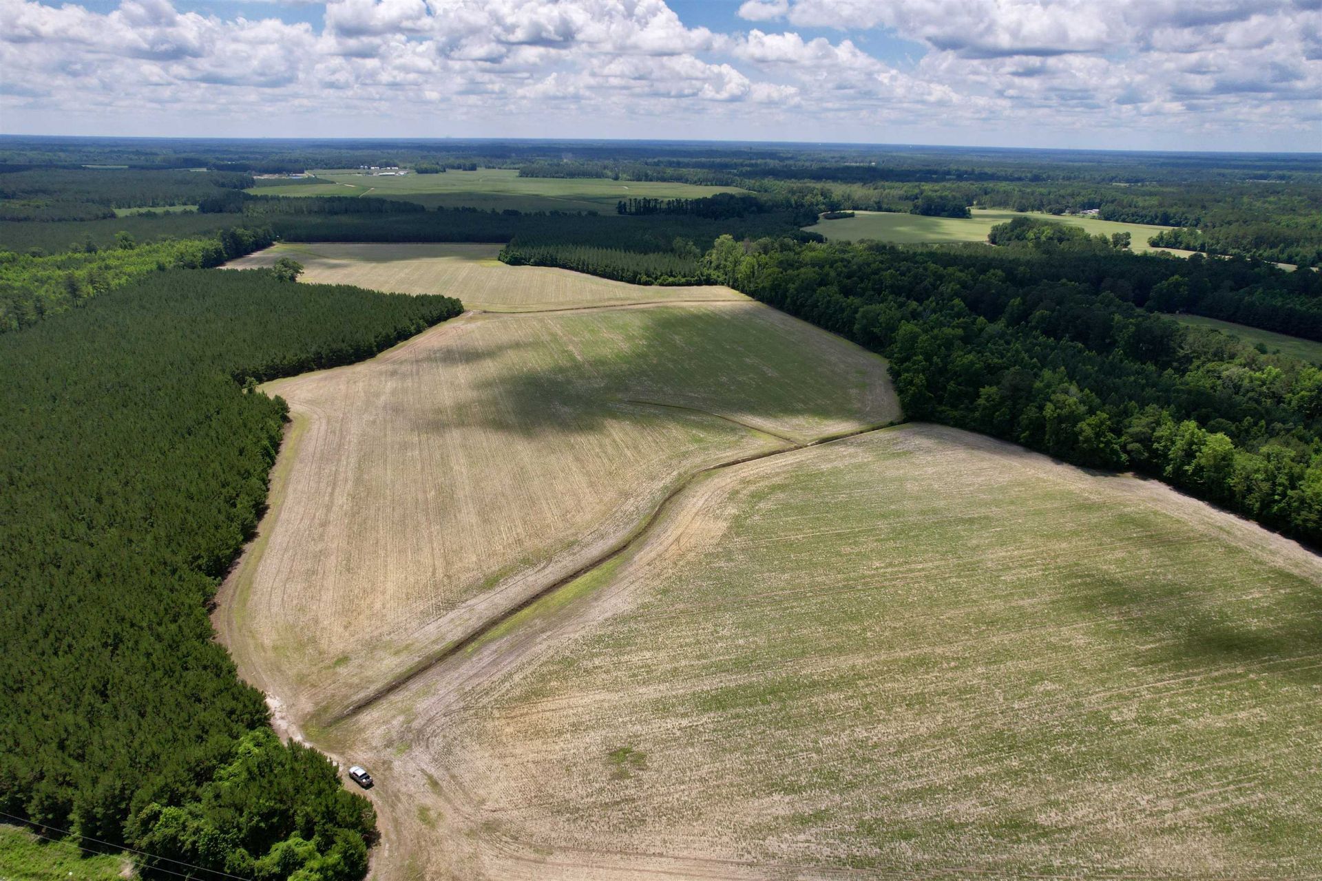83.03 Acres - Birch Creek Rd. Photo 4