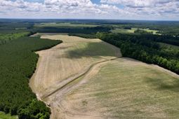 83.03 Acres - Birch Creek Rd. photo 4