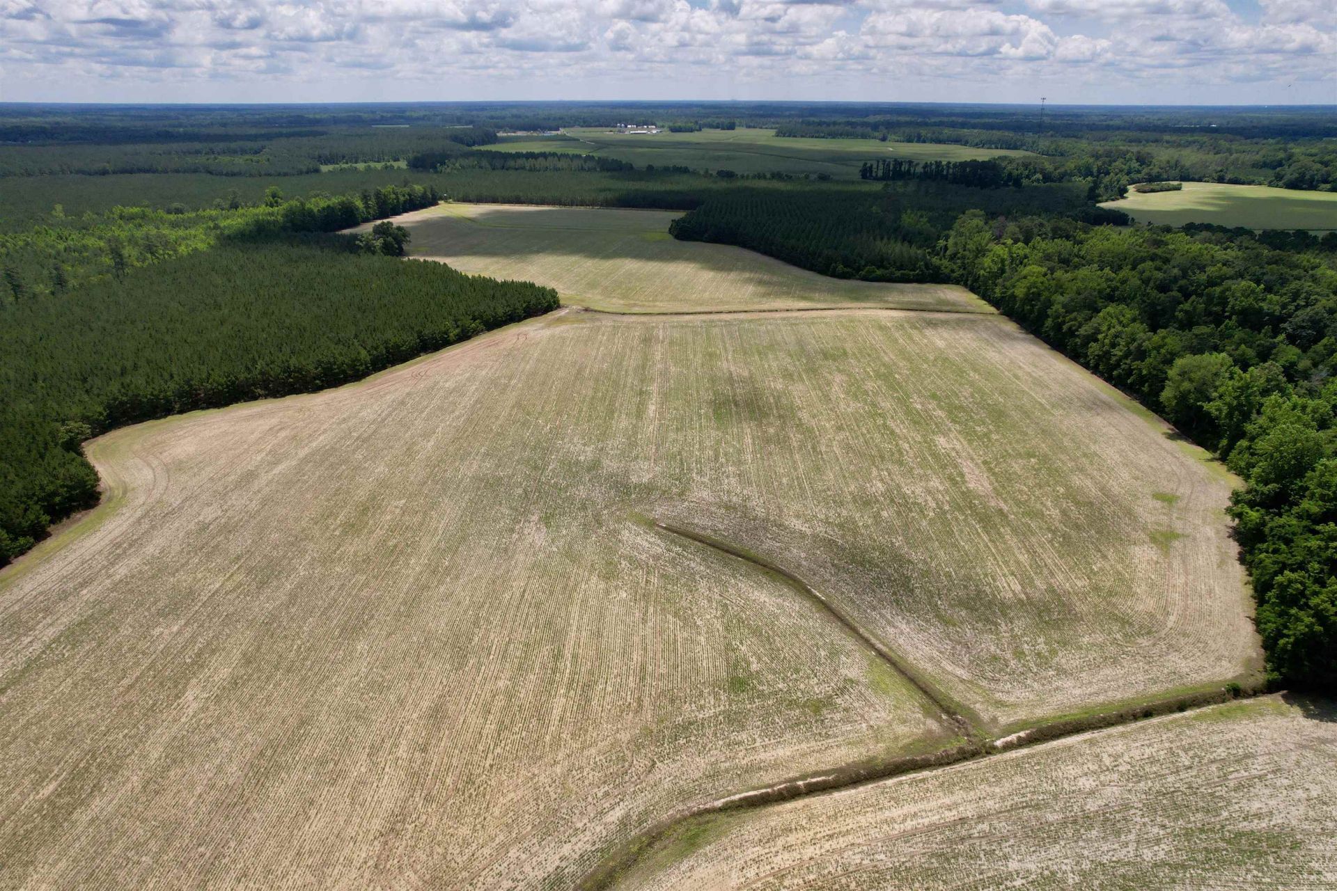 83.03 Acres - Birch Creek Rd. Photo 5