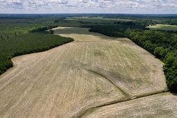 83.03 Acres - Birch Creek Rd. photo 4