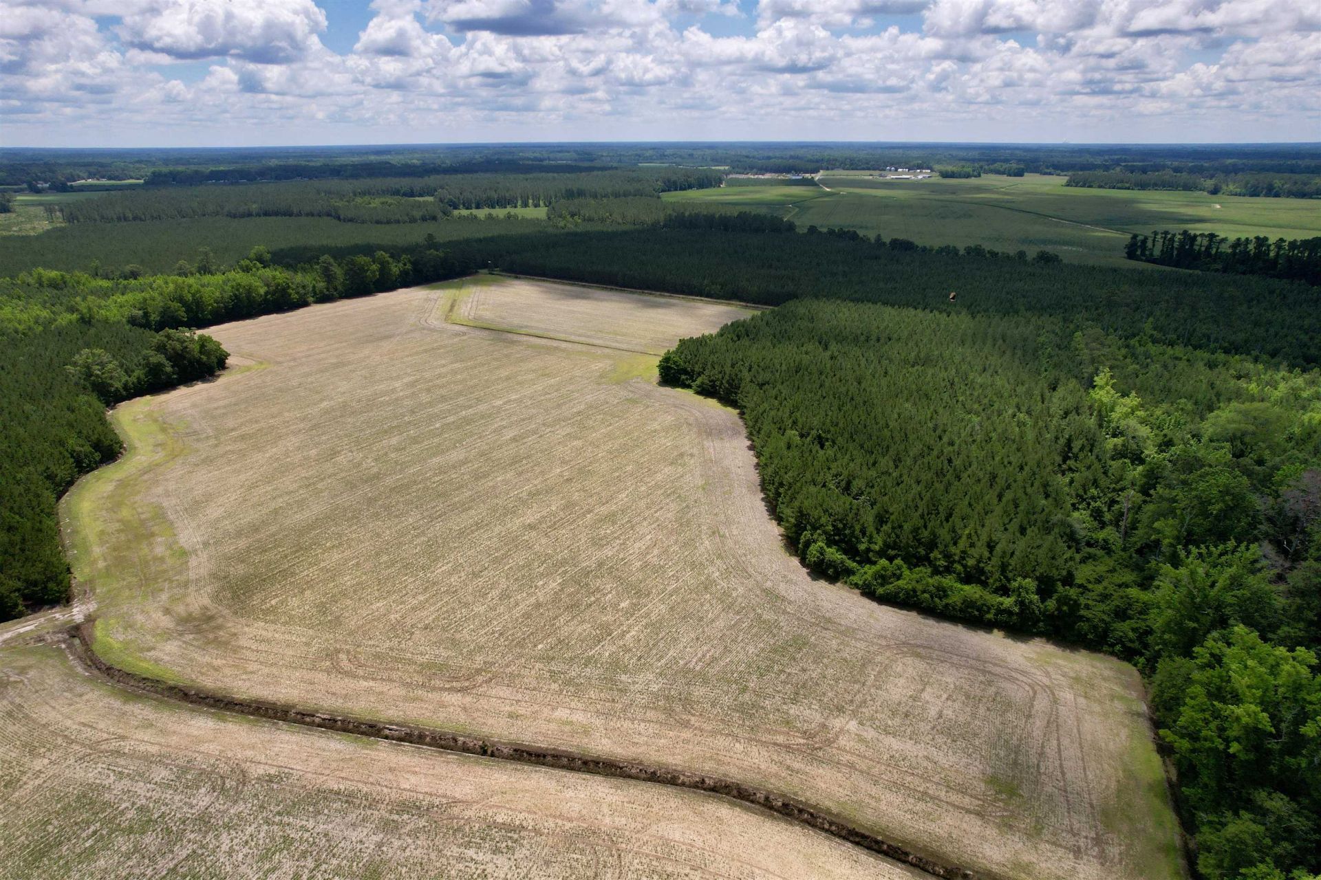 83.03 Acres - Birch Creek Rd. Photo 6