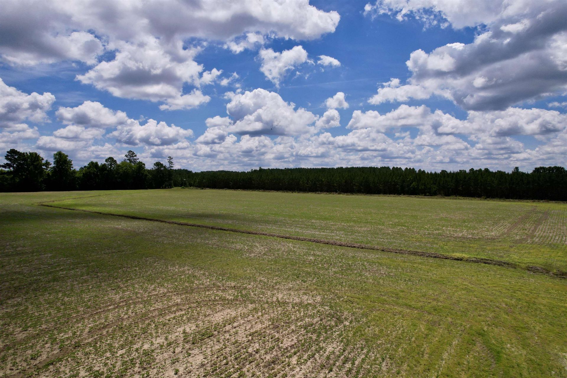 83.03 Acres - Birch Creek Rd. Photo 7