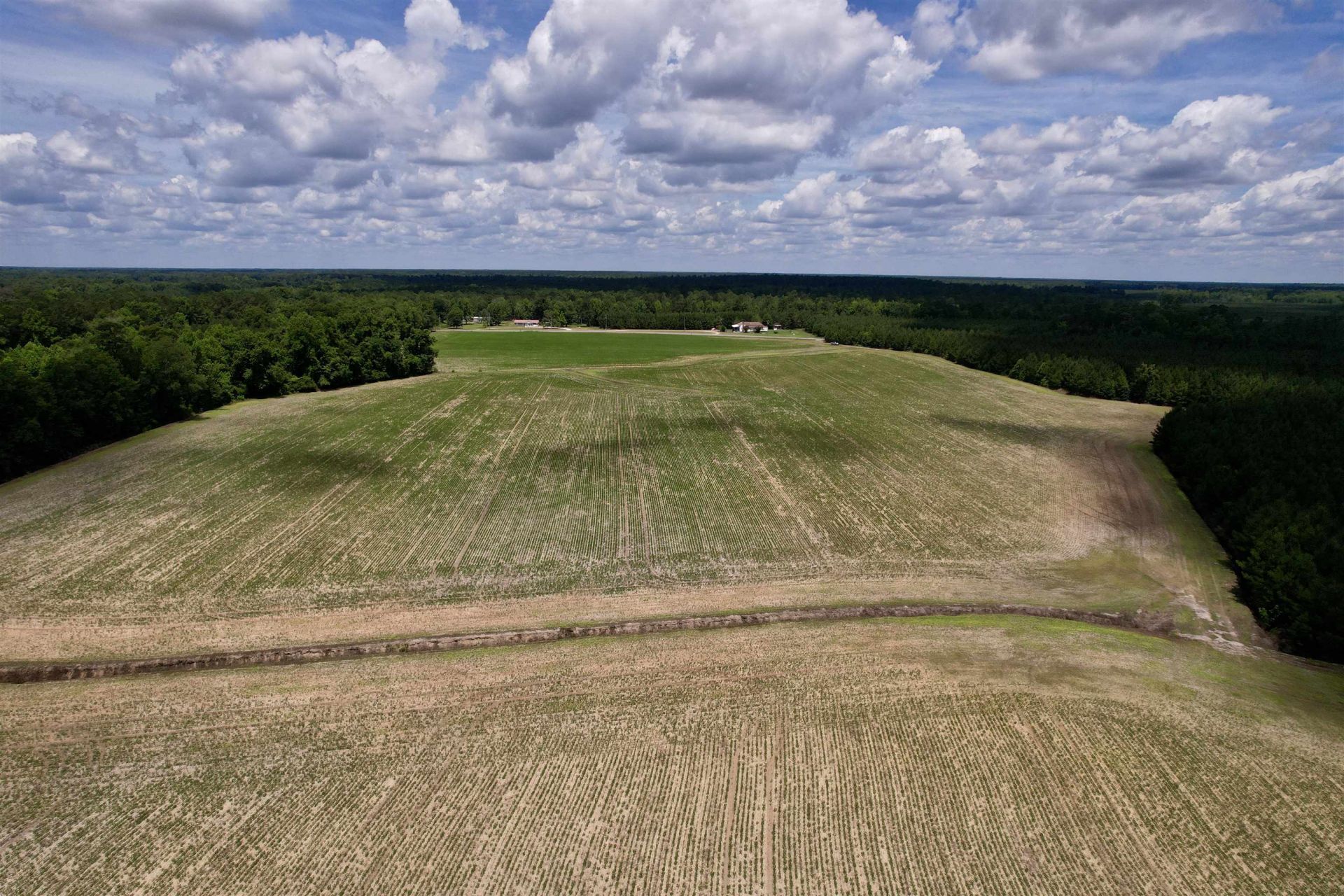 83.03 Acres - Birch Creek Rd. Photo 9