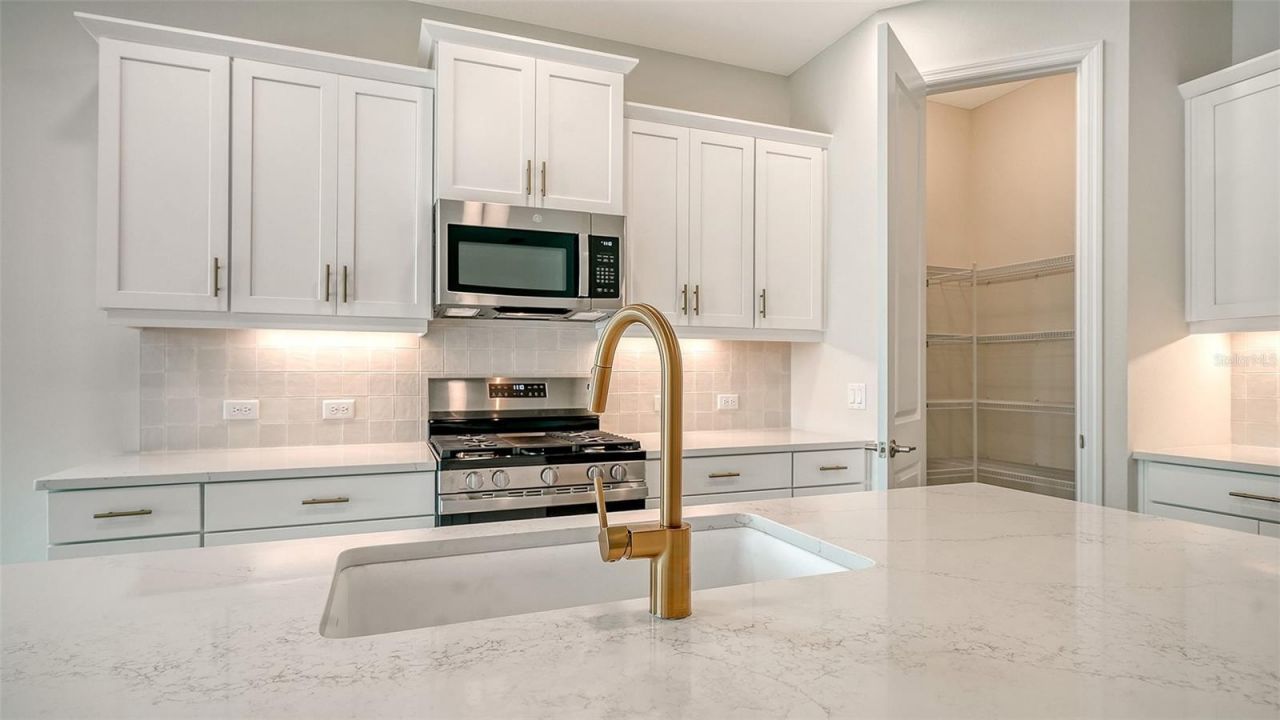 4408 Spoon Blade Drive, Parrish, FL 34219 Photo