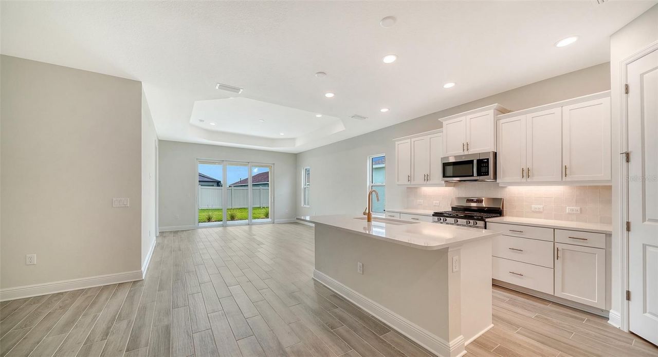 4408 Spoon Blade Drive, Parrish, FL 34219 Photo