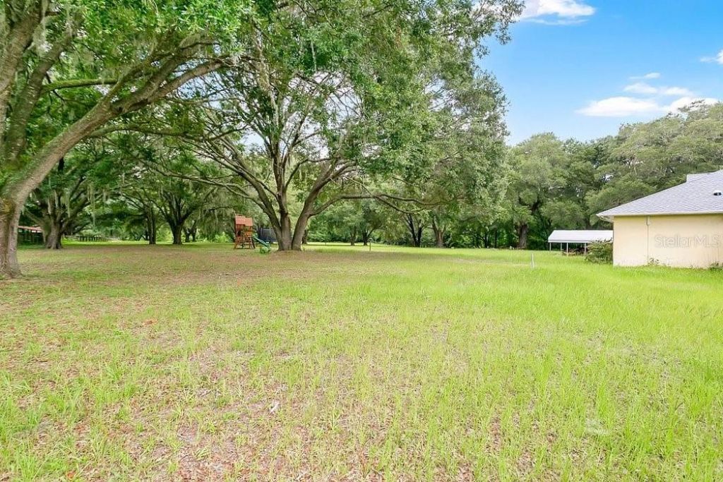 3700 SE 183rd Avenue Road, Ocklawaha, FL 32179 Photo