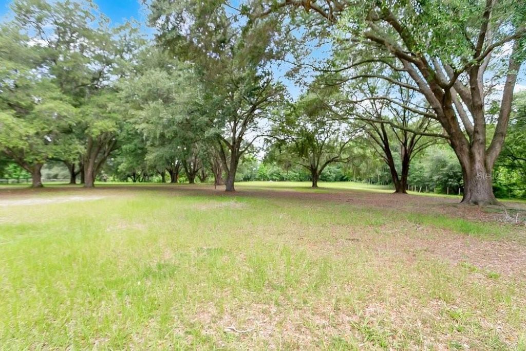 3700 SE 183rd Avenue Road, Ocklawaha, FL 32179 Photo
