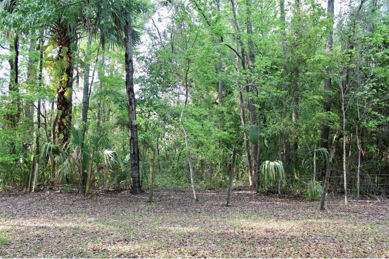 3700 SE 183rd Avenue Road, Ocklawaha, FL 32179 Photo