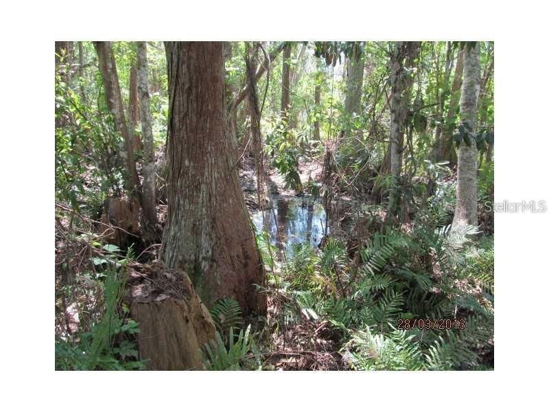 8944 Marigold Drive, New Port Richey, FL 34654 Photo