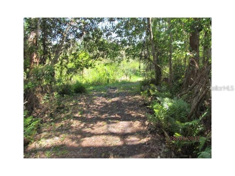 8944 Marigold Drive, New Port Richey, FL 34654 Photo