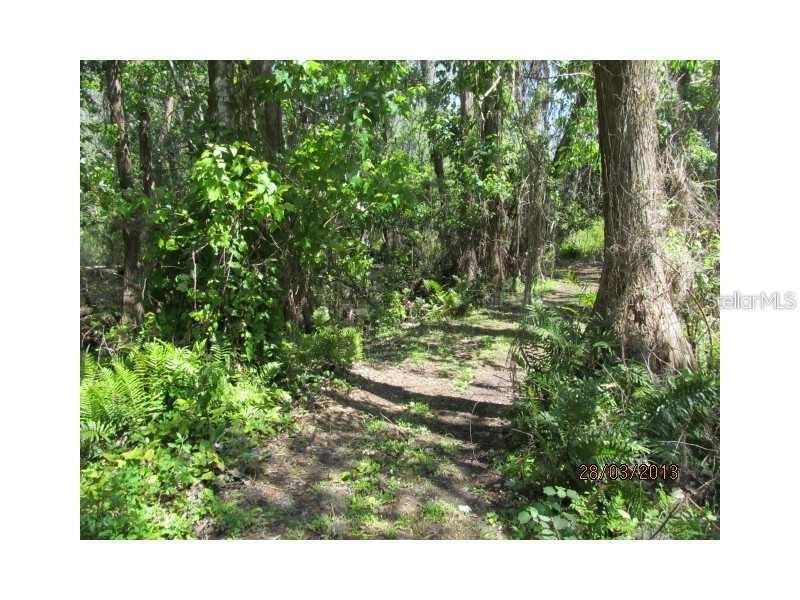 8944 Marigold Drive, New Port Richey, FL 34654 Photo