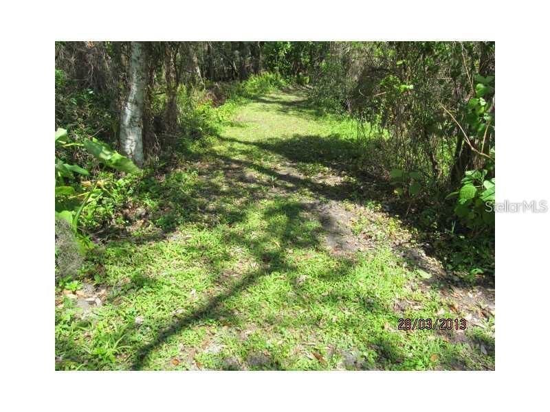 8944 Marigold Drive, New Port Richey, FL 34654 Photo