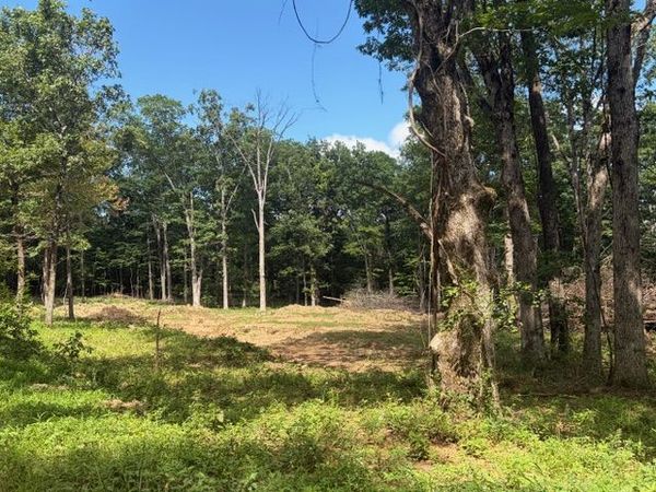 TBD Freedom Road , Winslow, AR 72959