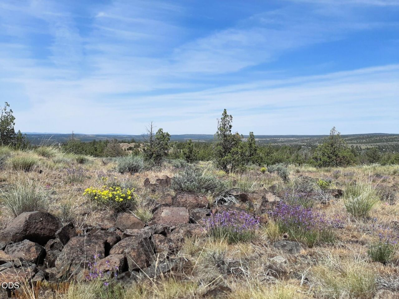 Se Weatherby Loop, Lot #4800, Prineville, OR 97754 Main Photo