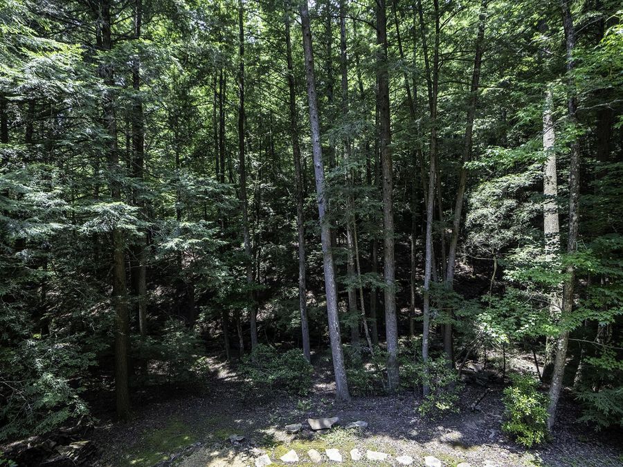 Property Image 62