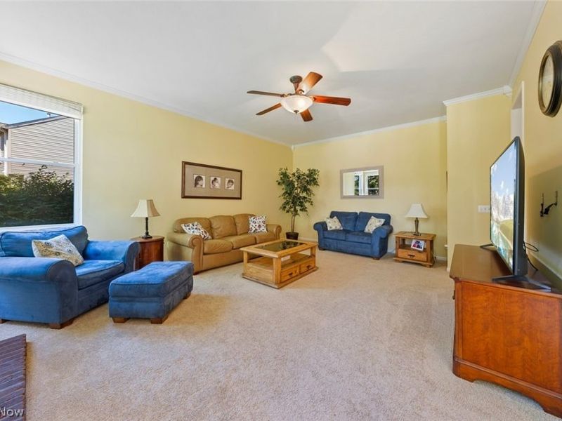 3976 Truxton Place, Avon, OH 44011 Photo 13