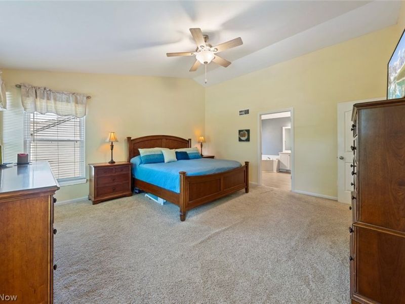 3976 Truxton Place, Avon, OH 44011 Photo 20