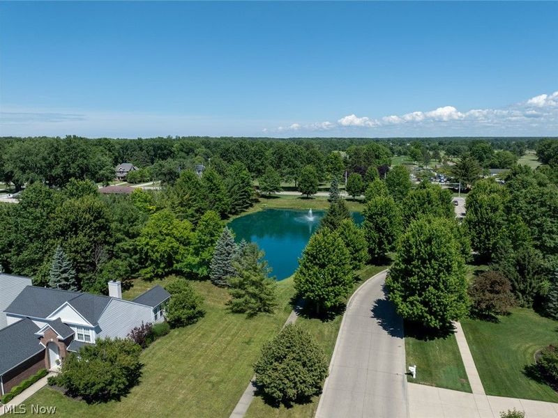 3976 Truxton Place, Avon, OH 44011 Photo 50