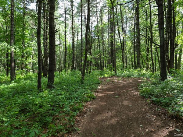 TBD Old Kings Road , Catskill, NY 12414