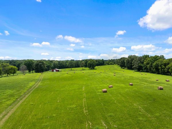 1021 Wallace Looney Rd, Leighton, AL 35646