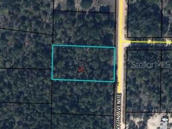 0 CANYON AVENUE , ALFORD, FL 32420