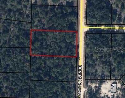 0 Canyon Avenue , Alford, FL 32420 Photo