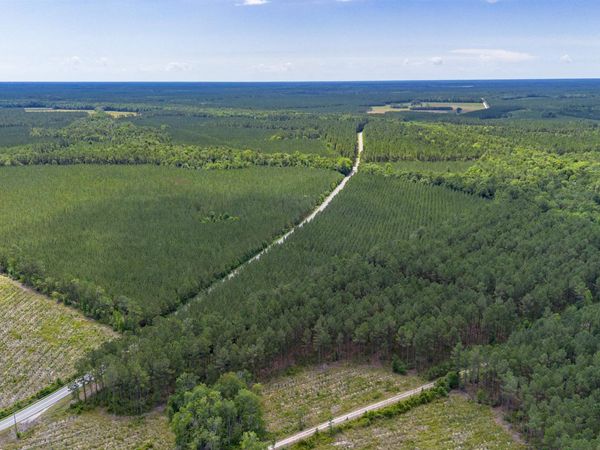 Tract B Ten Acre Rd. , Andrews, SC 29510