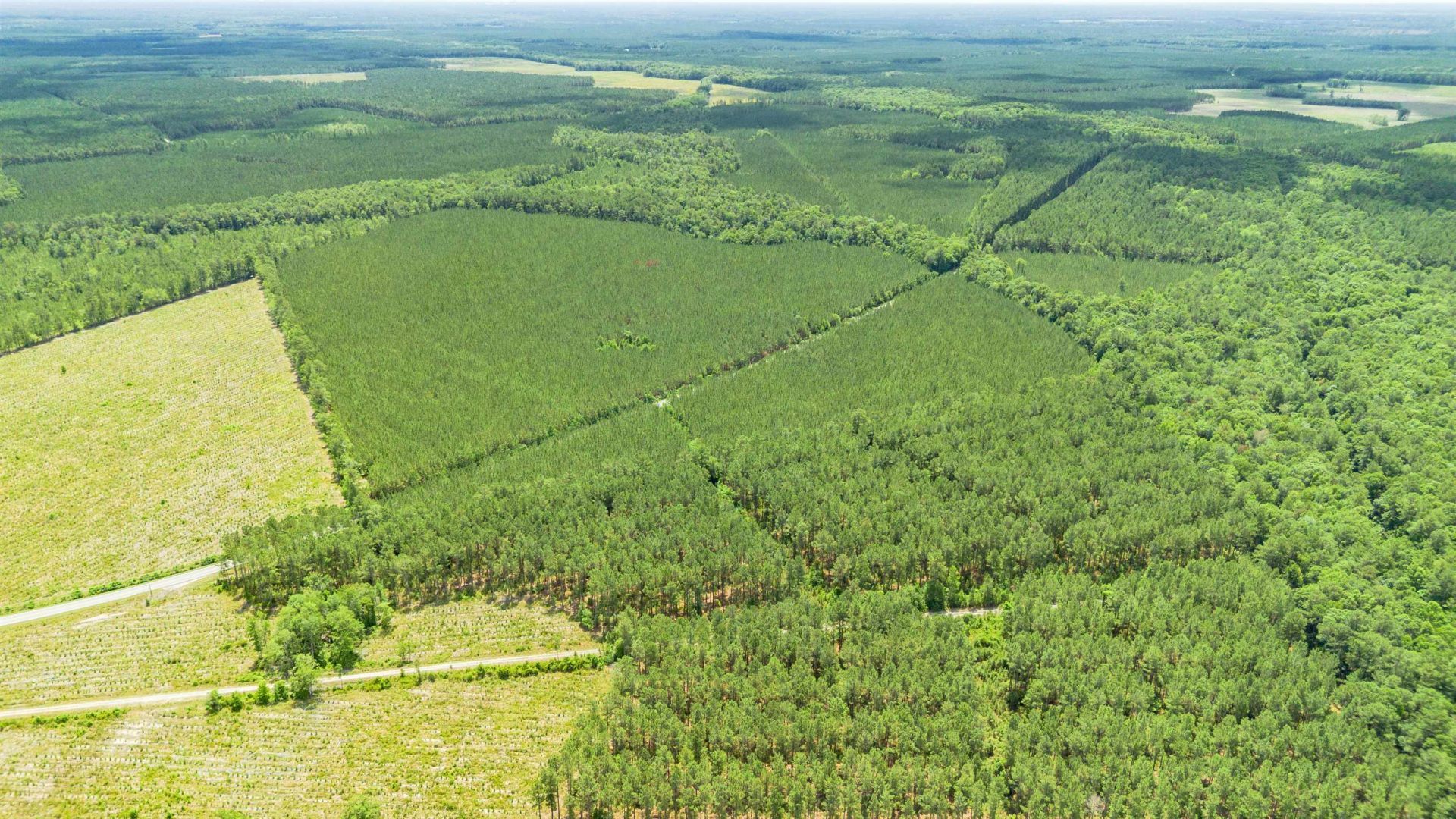 Tract B Ten Acre Rd.  Photo 4