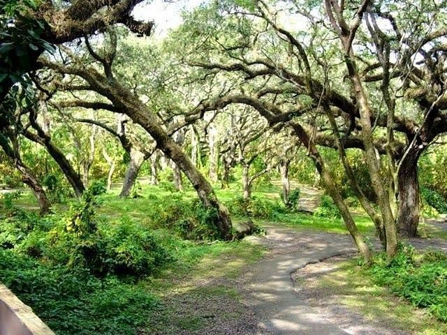 3145 Peachtree Way, Davie, FL 33328 Photo