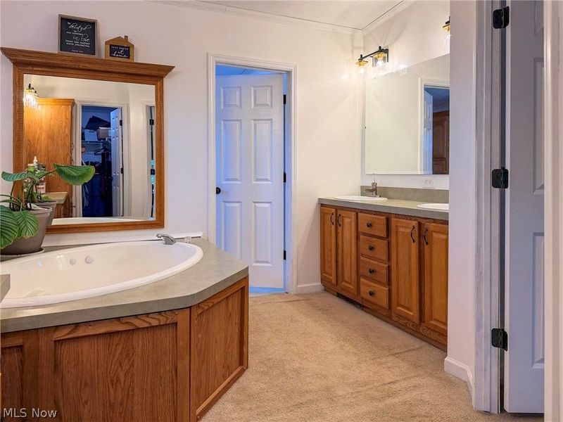 405 County Road 681, Sullivan, OH 44880 Photo 36