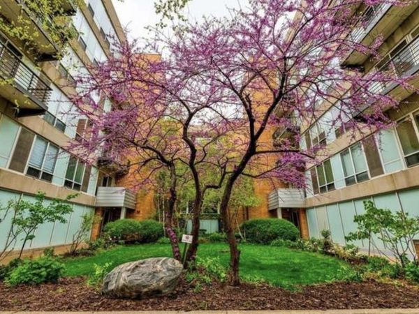 1430 S Michigan Avenue , Unit 407, Chicago, IL 60605